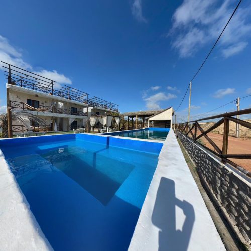 WhatsApp Image 2025-12-01 at 09.10.07